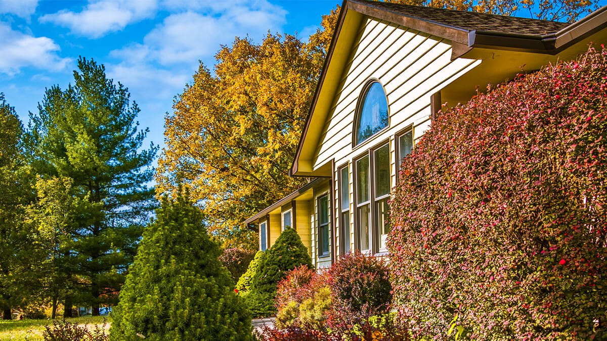 Front of house surrounded by fall trees.